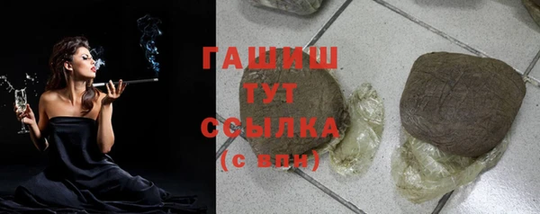 стаф Арсеньев