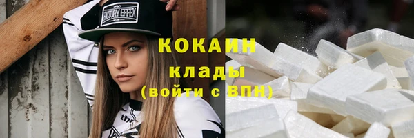 стаф Арсеньев