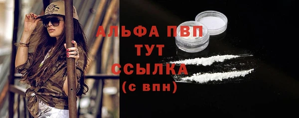 стаф Арсеньев