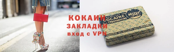 стаф Арсеньев