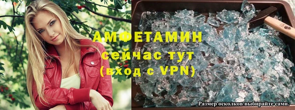 стаф Арсеньев