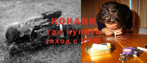 спайс Аркадак