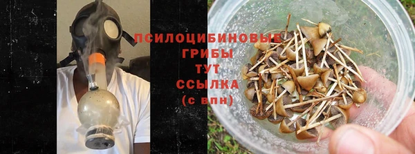 стаф Арсеньев