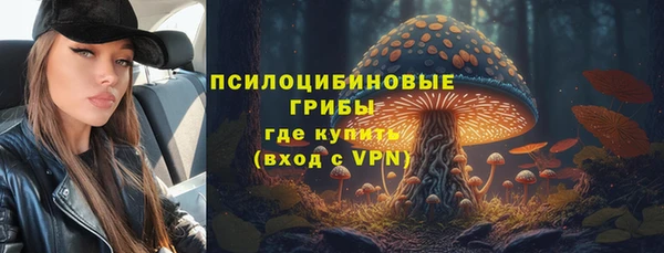 спайс Аркадак
