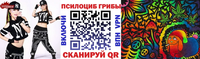 Галлюциногенные грибы Psilocybe  Киров 