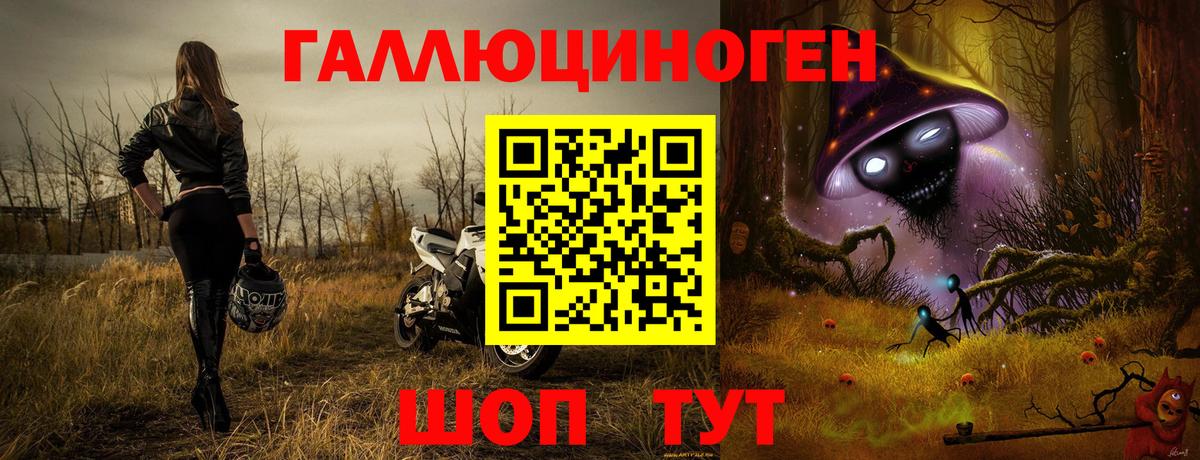 Галлюциногенные грибы Cubensis Киров