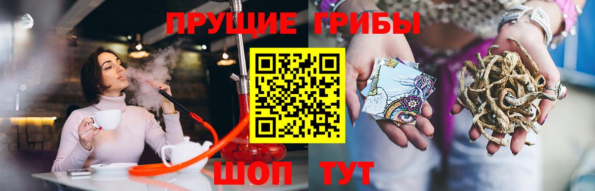 Киров  Галлюциногенные грибы ЛСД  даркнет сайт  Вход с VPN 