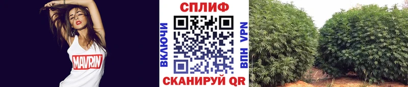 продажа наркотиков Киров Канабис ГИДРОПОН