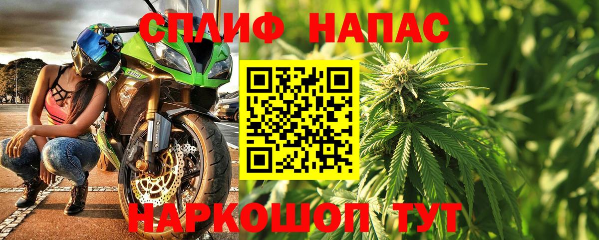 Каннабис OG Kush Киров